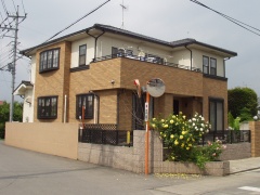 VzH